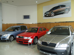 Skoda Αργολίδας Ηλιόπουλος - Έκθεση